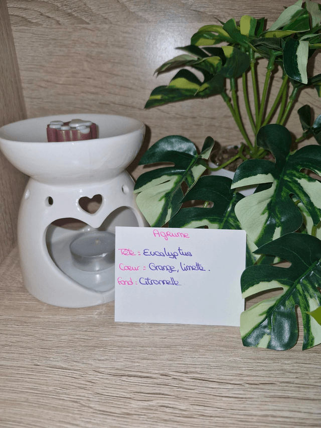 Fondants senteurs fruités 