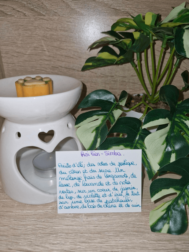 Fondants senteurs féerique 