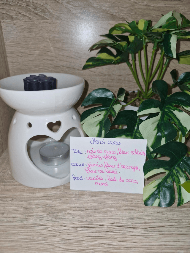 Fondants senteurs cachemire et monoi