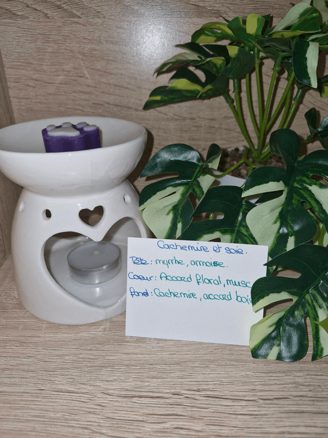 Fondants senteurs cachemire et monoi