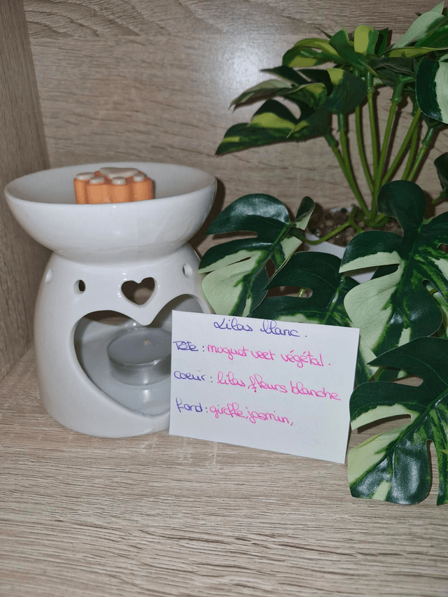Fondants senteurs florales 