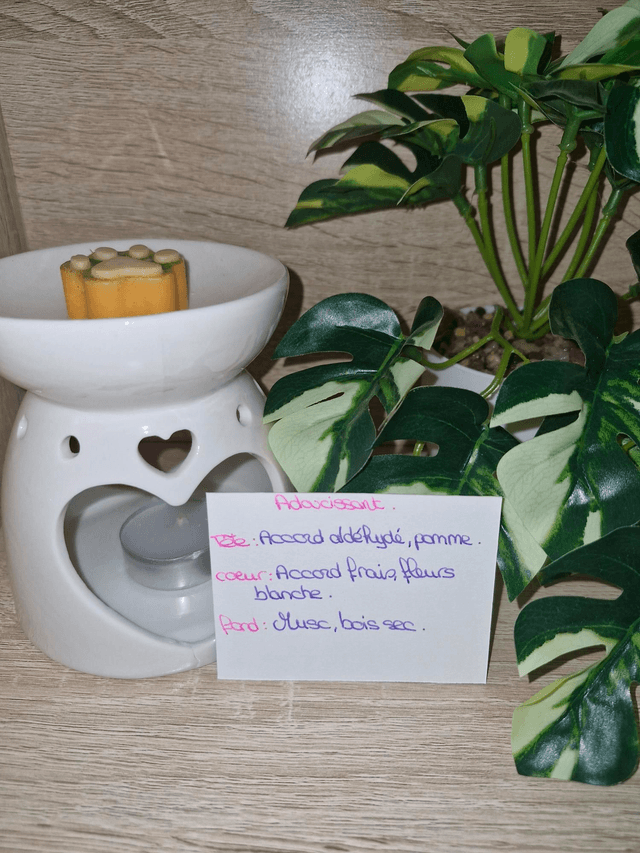 Fondants senteurs linge, ménage 