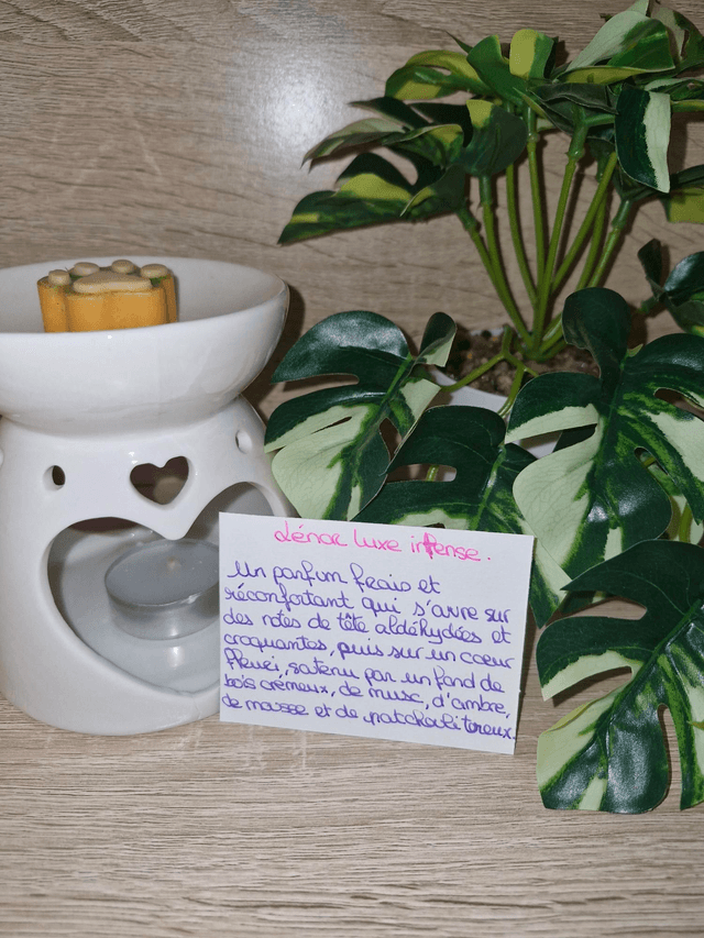 Fondants senteurs linge, ménage 
