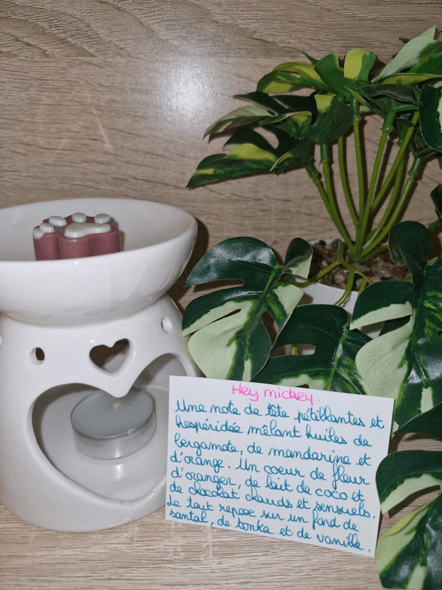 Fondants senteurs féerique 